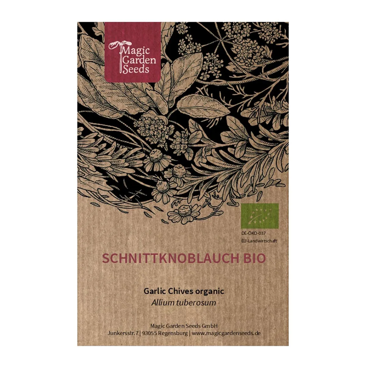 Schnittknoblauch (Allium tuberosum) Bio-Saatgut