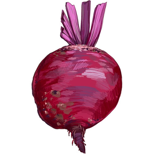 Beetroots