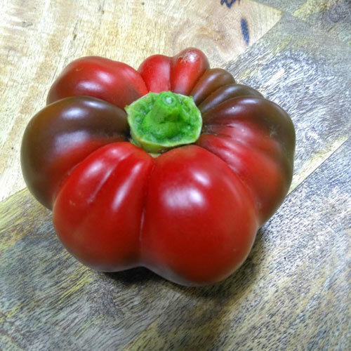 Red, flattened and ribbed tomato pepper on a wooden board