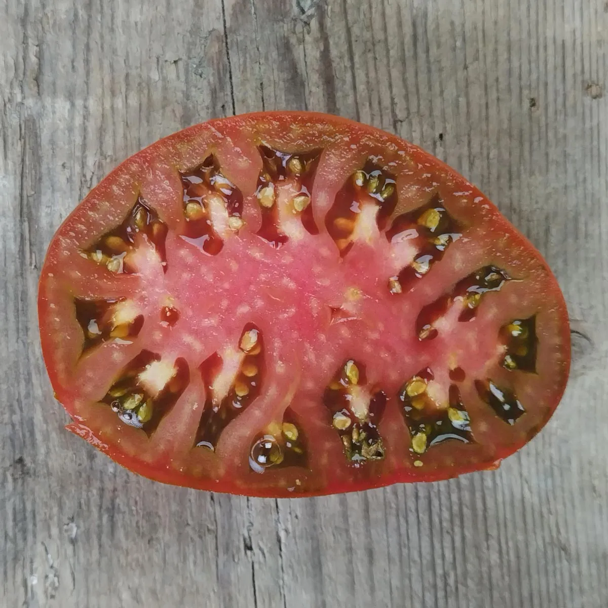 Tomate 'Black Pear' (Solanum lycopersicum) Samen