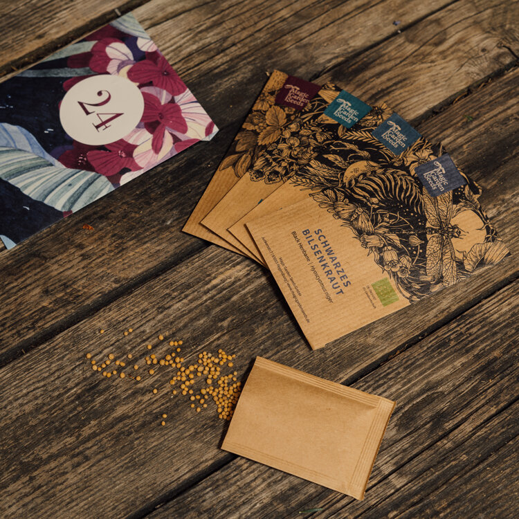 Seed packets from the advent calendar, including black henbane, with scattered seeds on wood