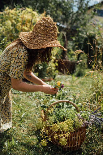 Woman in a straw hat gathering herbs and wild flowers into a wicker basket