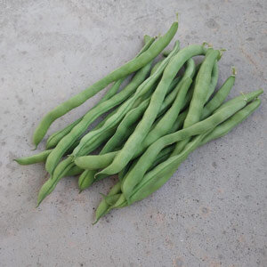 Pole Bean 'Neckarkönigin' (Phaseolus vulgaris)
