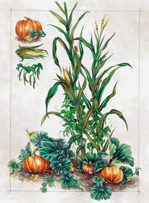  Illustration of the Three Sisters