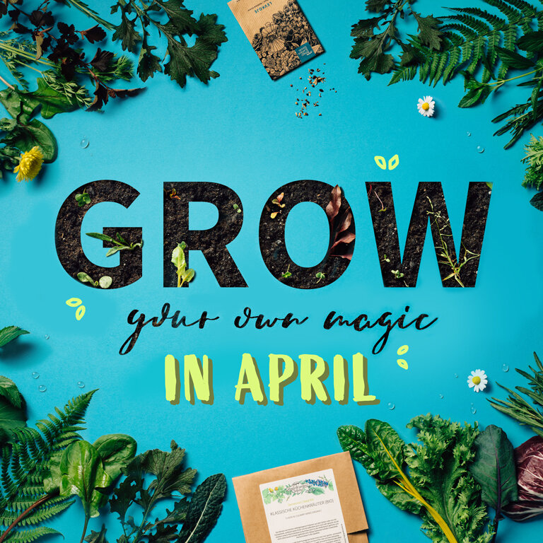 What can be sown directly outdoors in May