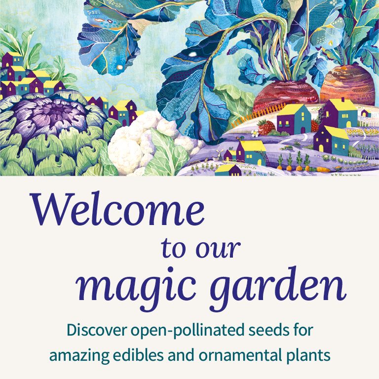 Welcome to our magic garden