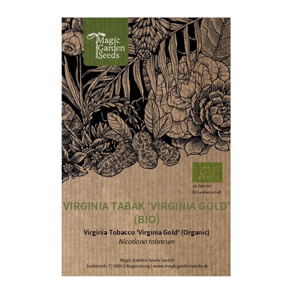 gold leaf tobacco seeds Virginia Tobacco 'Virginia Gold' (Nicotiana tabacum) organic seeds
