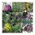 Europe’s Protected Flowers - Seed Set Gift Box