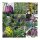 Strictly Protected Flowering Plants in Central Europe - Seed Set Gift Box