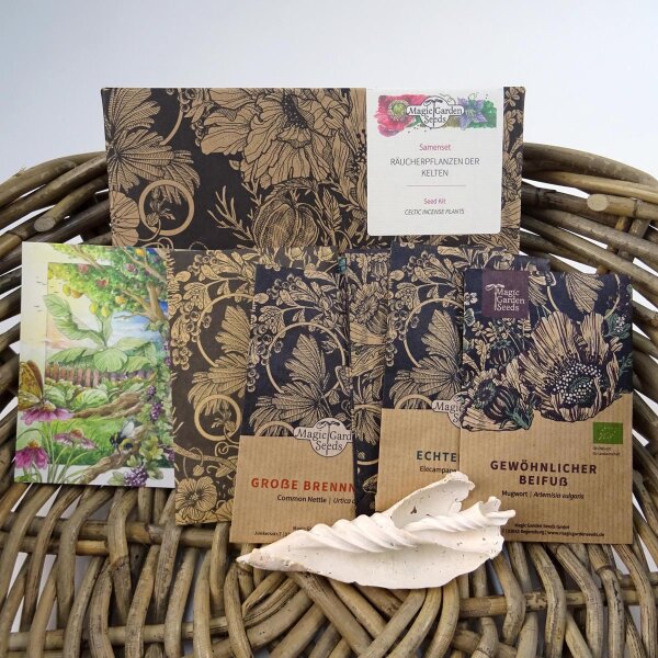Celtic Incense Plants - Seed kit gift box