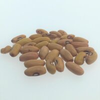 Bush Bean Cupidon (Phaseolus vulgaris) organic seeds