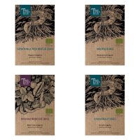 Sacred Druid Plants (Organic) -Seed kit gift box