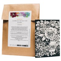 Greeting Card Set - Magic Garden Seeds Highlights - 10...