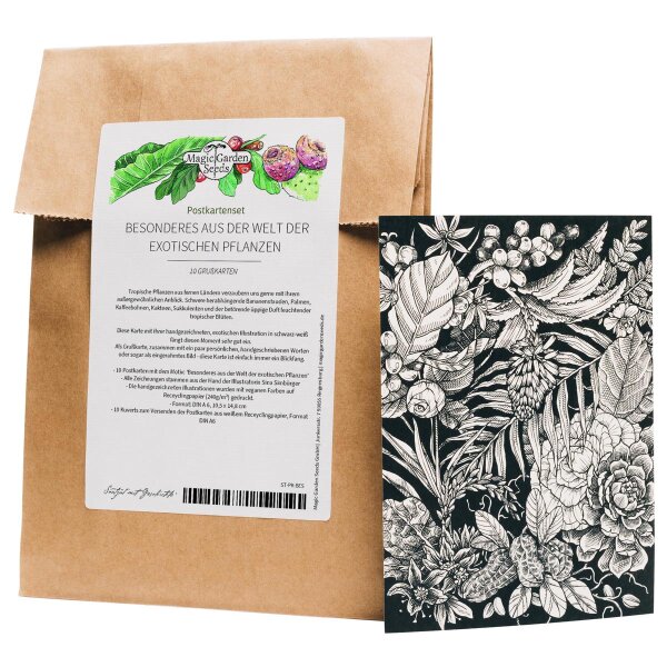 Greeting Card Set - Magic Garden Seeds Highlights - 10 Postcards with the Motive: Special Things from the World of Exotic Plants