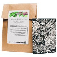 Greeting Card Set - Magic Garden Seeds Highlights - 10...