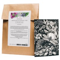 Greeting Card Set - Magic Garden Seeds Highlights - 10 Postcards with the Motive: Magical Things from the World of Ethnobotanics