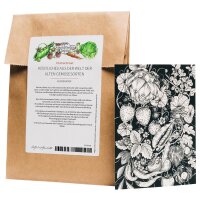 Greeting Card Set - Magic Garden Seeds Highlights - 10 Postcards with the Motive: Delicious Things from the World of Old Vegetable Varieties