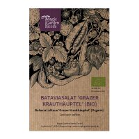 Batavia Lettuce Grazer Krauthäuptel (Lactuca sativa) organic seeds