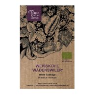 White Cabbage Wädenswiler (Brassica oleracea) organic seeds