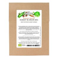 Grow Your Own In January (Organic) - Seed set