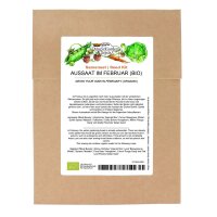 Grow Your Own In February (Organic) - Seed set gift box