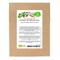 Grow Your Own In February (Organic) - Seed set gift box