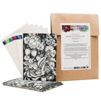 Greeting Card Set - Magic Garden Seeds Highlights - 6 x 3...