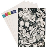 Greeting Card Set - Magic Garden Seeds Highlights - 6 x 3 Postcards with Our 6 Most Beautiful Hand-drawn Motives and Fitting Envelopes