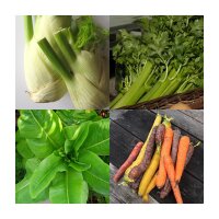 Delicious Spring Veggies – Loved by People and Easter Bunnies (Organic) – Seed Kit Gift Box
