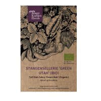 Tall Utah Celery Green Utah (Apium graveolens) organic seeds