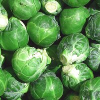 Brussels Sprouts Groninger (Brassica oleracea) organic seeds