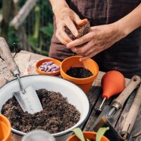 Grow Your Own In May (Organic) - Seed set gift box