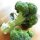 Broccoli Calabrese (Brassica oleracea) organic seeds