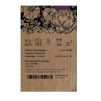 Chilli Pepper Carolina Reaper (Capsicum chinense)