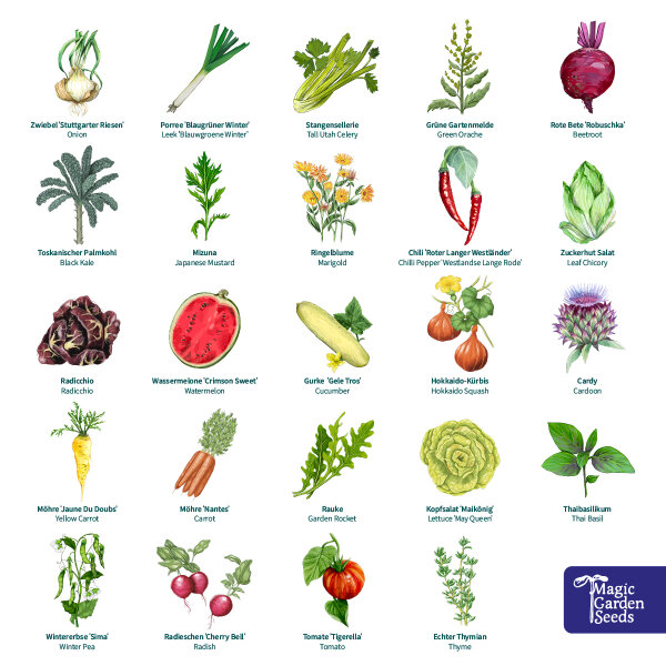 Bunter Selbstversorgergarten  Bio-Adventskalender | Magic Garden Seeds