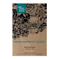 Black-eyed Susan Sahara (Rudbeckia hirta) seeds