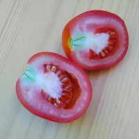 Tomato De Berao (Solanum lycopersicum) organic