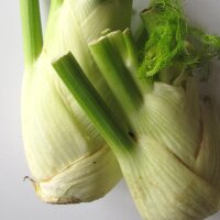 Bunny Vegetable for Human & Animal (Organic) - Seed Set