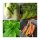 Bunny Vegetable for Human & Animal (Organic) - Seed Set