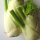 Bunny Vegetable for Human & Animal (Organic) - Seed Set