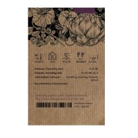 Cauliflower Neckar Pearl (Brassica oleracea var. botrytis) organic seeds