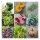 Grow Your Own In May (Organic) - Seed set