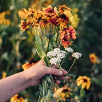 Magical Time – Organic seed Advent Calendar – A Sea of Wildflowers