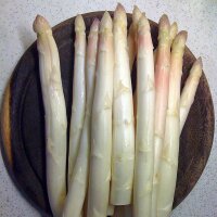 White Asparagus Ruhm von Braunschweig (Asparagus officinalis) seeds