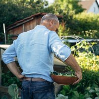 Grow-Your-Own Garden Feast - Organic seed kit for all vegetable gardeners