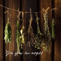 Our Favourite Plants: Kitchen Herbs & Spices for Flavour Enthusiasts (Organic) – Seed Kit Gift Box