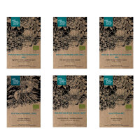 Our Favourite Plants: Annuals & Perennials for Flower...