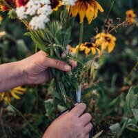Our Favourite Plants: Annuals & Perennials for Flower Lovers (Organic) – Seed Kit