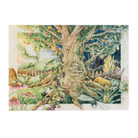 Our Favourite Plants: Wildflowers for Flower Lovers (Organic) – Seed Kit