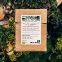 Our Favourite Plants: Medicinal Plants & Incense...